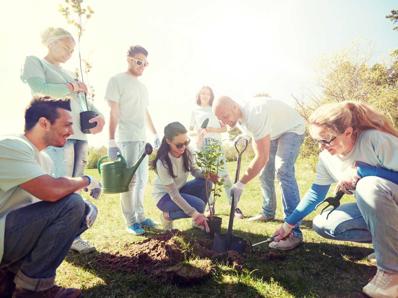 The Value of Volunteering: Why Community Service Is a Smart Choice for Students