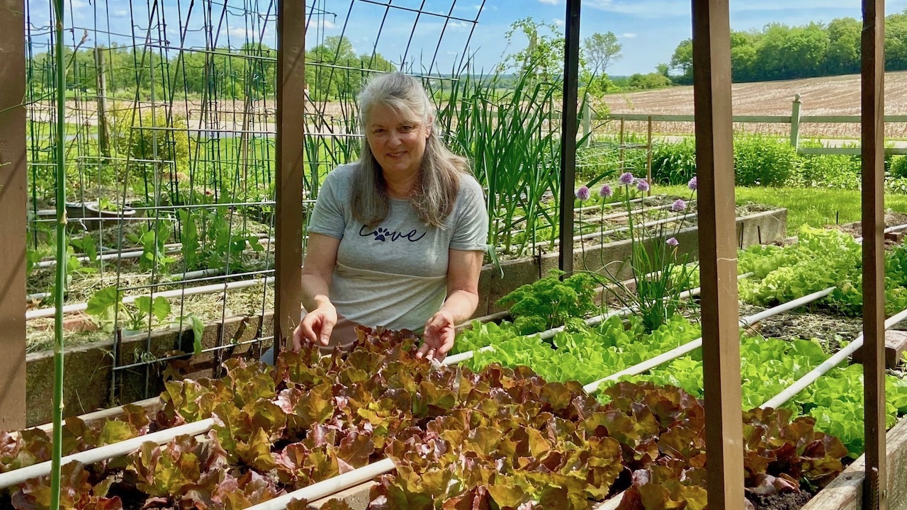 Five Ways to Enjoy the Summer - Even in a Pandemic