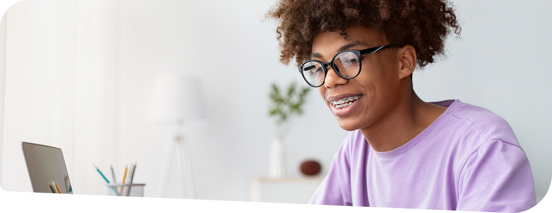 ALVS How It Works Header