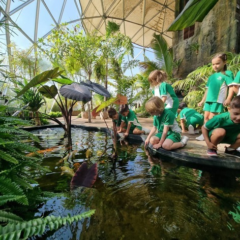 The Arbor School Dubai