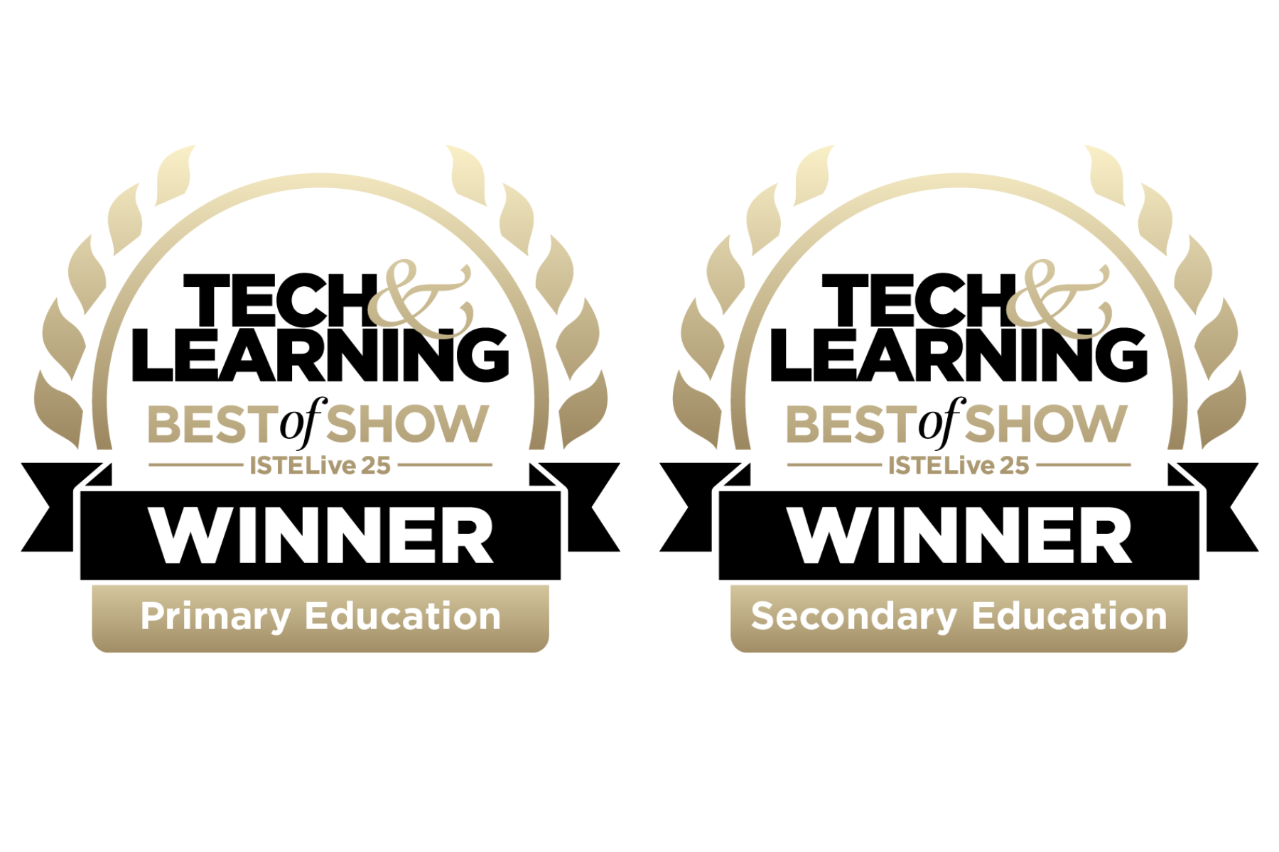 Webpage Image Template 6