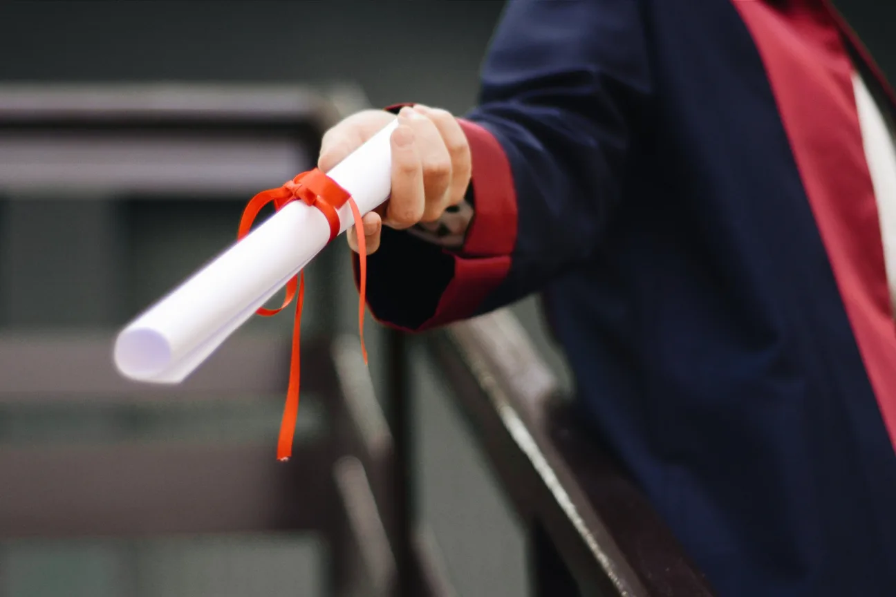 Pexels gül işık 2292837