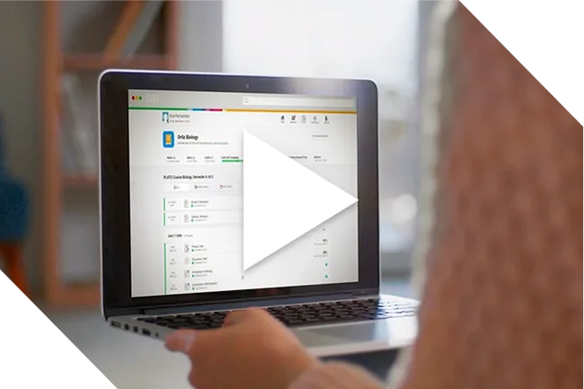 WEBD 35 011 EOA Tutorials Video