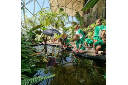 The Arbor School Dubai