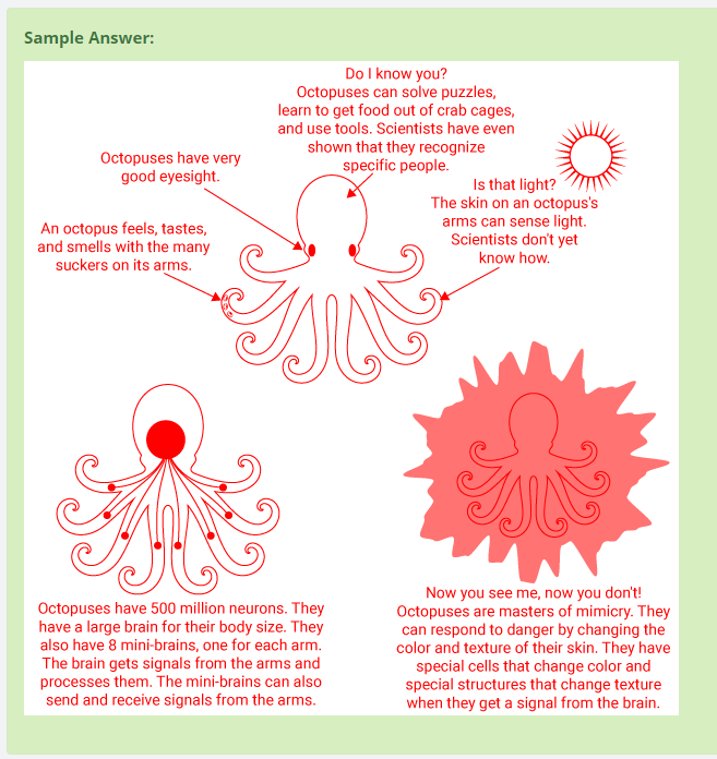 Figure 20b