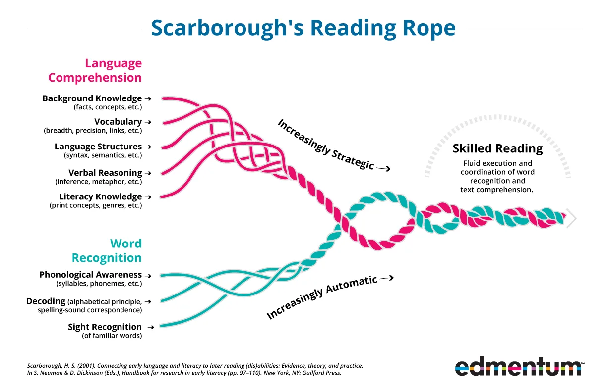 Graphic of Scarborough's Reading Rope, an image that depicts the components of Language Comprehension and components of Word Recognition as strands of a rope. When woven tightly together, the strands build the ability for skilled reading. Language Comprehension is the top part of the rope and the strands are Background Knowledge, Vocabulary, Language Structures, Verbal Reasoning, and Literacy Knowledge. This part of the rope is pink. Word Recognition is the bottom part of the rope and the skills are Phonological Awareness, Decoding, and Sight Recognition. This part of the rope is green. As Language Comprehension becomes increasingly strategic and Word Recognition becomes increasingly automatic, the rope becomes tighter and students become skilled readers.