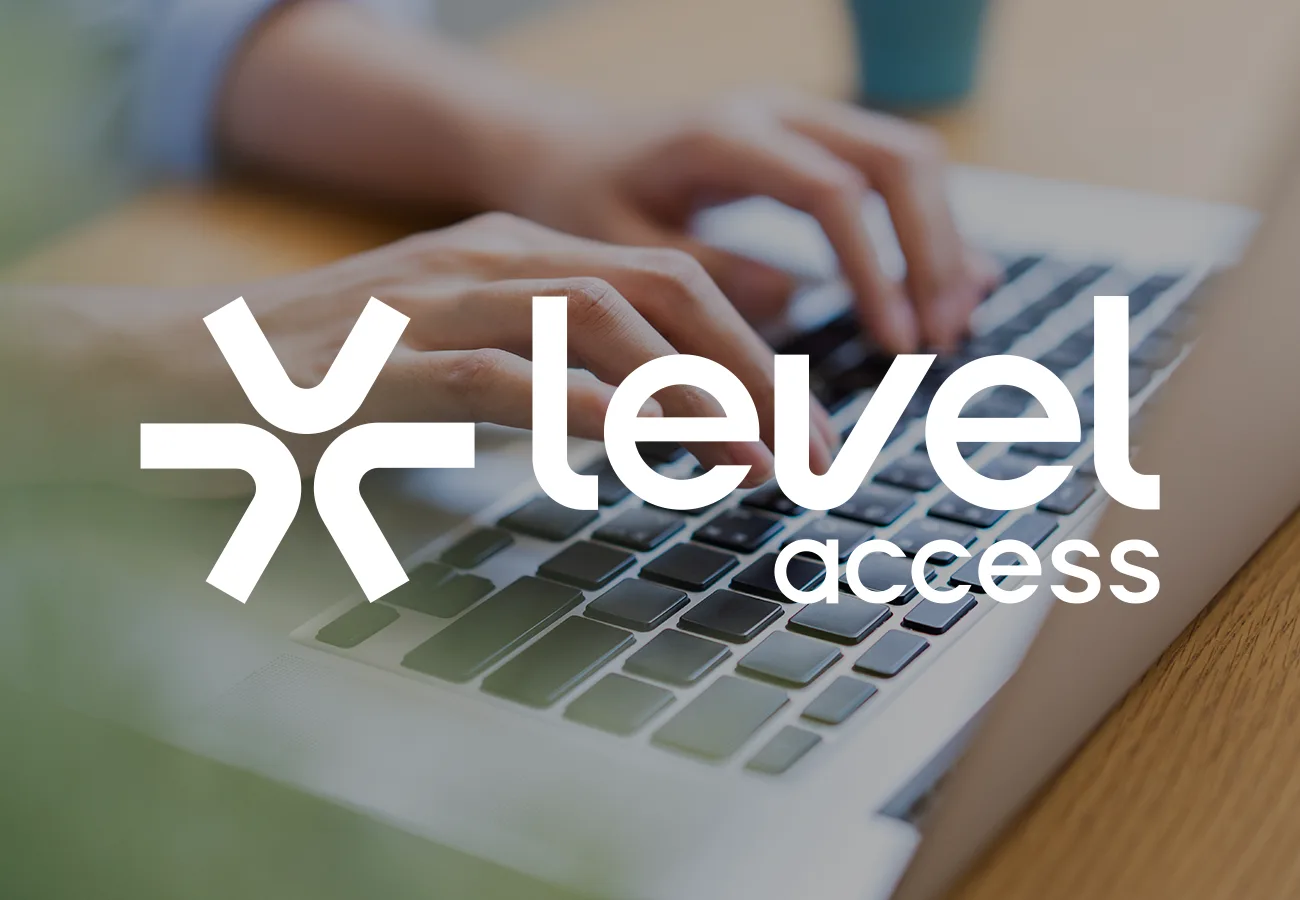 WEBD 76 Accessibility Page Level Access 2 1300x900