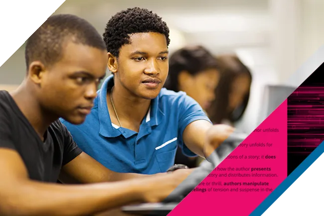 WEBD 35 02 011 Dual Diploma Content Image 2 Pink 1