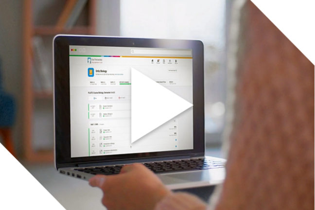 WEBD 35 011 EOA Tutorials Video