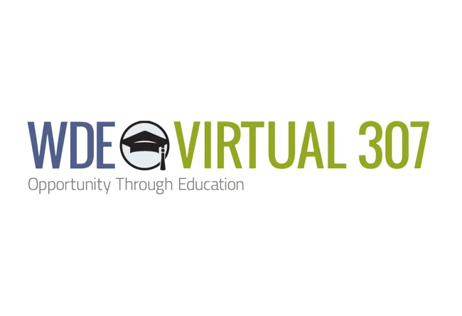 WDE Virtaull Logo